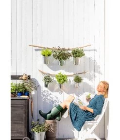 Dehner Gourmet Garten Zitronenmelisse -Freien Garten Geschäft 20181011 PR MO 003 Kraeuter 01