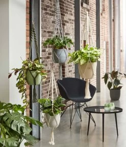 Dehner Makramee-Ampel -Freien Garten Geschäft 2061968 4409132 WE MO 001 AmpelMakramee