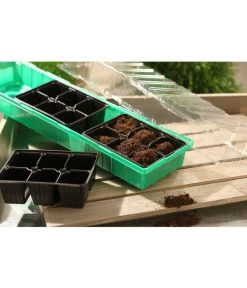 Dehner Zimmergewächshaus Frans, 54 X 15 X 12 Cm -Freien Garten Geschäft 207456 BildM 001 RombergZimmergewaechshausFransFensterbGewH54X15x12