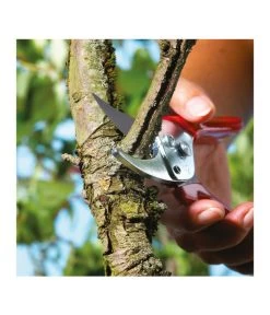 Wolf-Garten Wolf Gartenschere RR-EN -Freien Garten Geschäft 239038 MO 004 GARTENSCHERERREN