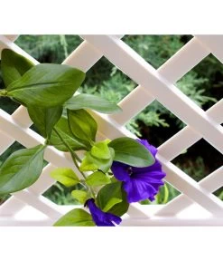 KHW Kunststoff-Spalier Mit Erdspießen, 100 X 6 X 140 Cm -Freien Garten Geschäft 2546414 WE DE 003 Spalier100cmweiss