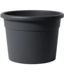 Dehner Kunststoff-Blumentopf Diana, Rund