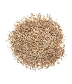 Freien Garten Geschäft -Freien Garten Geschäft 2682078 BildD 001 RasenSaatgutWolfPremiumRasenSupraPremiumRasenSupra25Qm