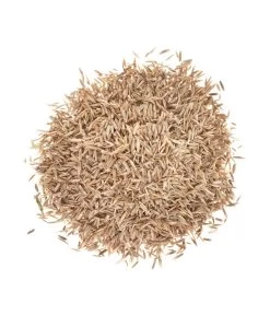 Freien Garten Geschäft -Freien Garten Geschäft 2682250 BildD 001 WolfRasenSaatgutStrapazierrasenLorettaStrapRasenLoretta25Qm