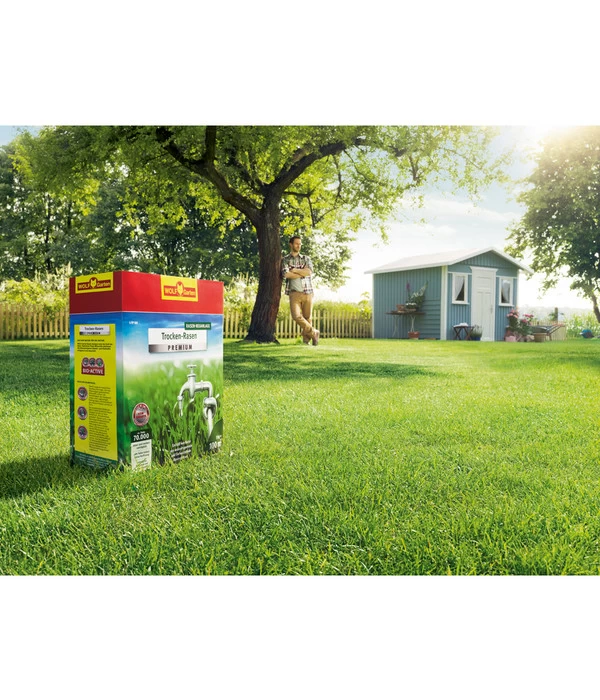 Wolf-Garten Trocken-Rasen Premium L-TP 4 Wolf-Garten Trocken-Rasen Premium L-TP – Bild 2