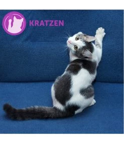 FELIWAY® Classic Verdampfer Start-Set -Freien Garten Geschäft 3019957 WE M 002 neuCevaFeliwayClassicStarterSet