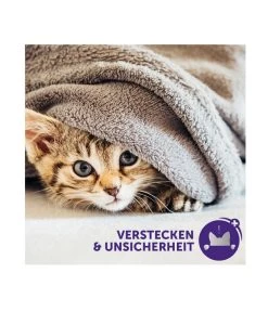 FELIWAY® Classic Verdampfer Start-Set -Freien Garten Geschäft 3019957 WE M 005 neuCevaFeliwayClassicStarterSet