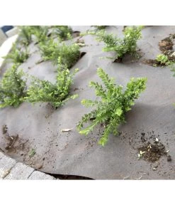 Dehner Rindenmulch-Unterlage, Ca. L300/B200 Cm -Freien Garten Geschäft 3079696 BildM 002 RindenmulchUnterlageFuerDieGartenpflegeRindenmulchUnterlage2X3