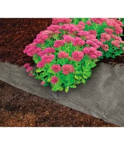 Dehner Rindenmulch-Unterlage, Ca. L300/B200 Cm -Freien Garten Geschäft 3079696 WE MO 004 RindenmulchUnterlageMulchunterlageWurzelsperre