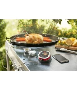 Weber® IGrill 2 Mit Zwei Messfühlern -Freien Garten Geschäft 3210796 WE MO 001 IgrillIIZweiMessfuehler