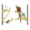 Java Kletterstange Sittiche Und Papageien Medium -Freien Garten Geschäft 3234937 WE FS 001 HolzsitzstangeJavaSmall