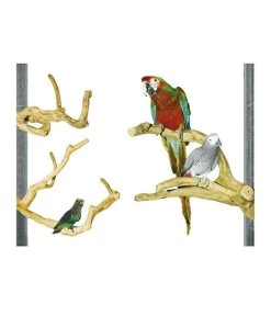 Java Kletterstange Sittiche Und Papageien Medium