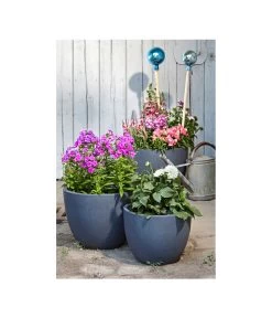 Dehner Leichtbeton-Pflanztopf Manchester, Rund, Antik-schwarz 9 Dehner Leichtbeton-Pflanztopf Manchester, Rund, Antik-schwarz -Freien Garten Geschäft 3337151 3337169 3337136 3337144 WE MO 001 DehnerLeichtbetonPflanztopfantikschwarz