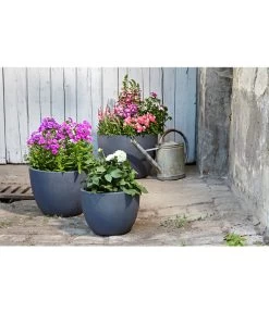 Dehner Leichtbeton-Pflanztopf Manchester, Rund, Antik-schwarz 10 Dehner Leichtbeton-Pflanztopf Manchester, Rund, Antik-schwarz -Freien Garten Geschäft 3337151 3337169 3337136 3337144 WE MO 002 DehnerLeichtbetonPflanztopfantikschwarz