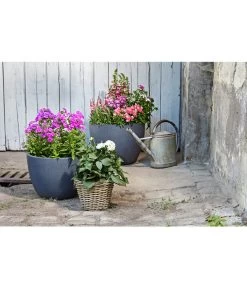 Dehner Leichtbeton-Pflanztopf Manchester, Rund, Antik-schwarz 11 Dehner Leichtbeton-Pflanztopf Manchester, Rund, Antik-schwarz -Freien Garten Geschäft 3337151 3337169 3337136 3337144 WE MO 003 DehnerLeichtbetonPflanztopfantikschwarz