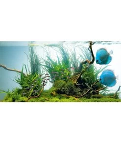 JUWEL® AQUARIUM Leuchtstoffröhren T5 HiLite Day -Freien Garten Geschäft 3340809 WE D 002 JuwelHLDayMM24Watt