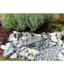Rottenecker Granit-Gartenbrunnen Froschkönig Otto, 25 X 40 X 20 Cm -Freien Garten Geschäft 3446762 WE MO 002 GartenbrunnenFroschkoenigOtto