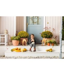 Ferrum Buckelnde Holz-Katze Mit Metall-Applikationen, Ca. B32/H51 Cm -Freien Garten Geschäft 3651171 WE MO 003 FerrumbuckelndeHolzKatzemitMetallApplikationen