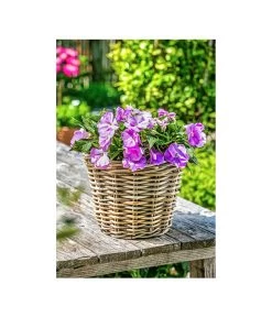 Rattan-Topf, Rund, Grau-braun -Freien Garten Geschäft 3679347 3679362 3679578 WE MO 007 RattanTopfbraunBlumentopf