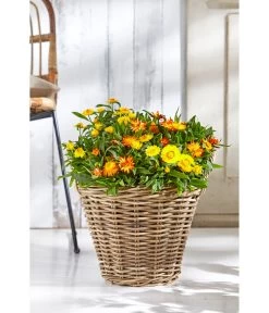 Rattan-Topf, Rund, Grau-braun -Freien Garten Geschäft 3679347 3679362 3679578 WE MO 019 RattanTopfrundbraun