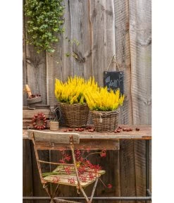 Rattan-Topf, Rund, Grau-braun -Freien Garten Geschäft 3679347 3679362 3679578 WE MO 022 RattanTopfrundbraun