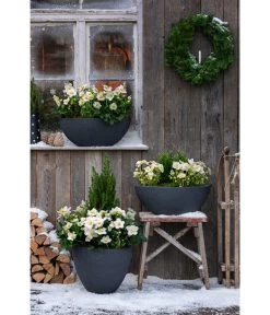 Dehner Kunststoff-Topf Stone, Anthrazit -Freien Garten Geschäft 3694254 3693926 WE MO 001 KunststoffTopfStonekonischanthrazit 1