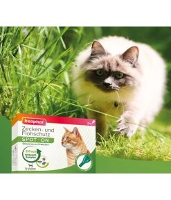 Beaphar Zecken- & Flohschutz SPOT-ON Für Katzen, 3x0,8 Ml -Freien Garten Geschäft 3879285 WE DE 004 BeaKZbhZeckenFlohschutzSpotOnKatzen