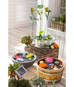 Dehner Kunststoff-Schale Miami, Rund, Anthrazit, Ca. Ø52/H20 Cm 17 Dehner Kunststoff-Schale Miami, Rund, Anthrazit, Ca. Ø52/H20 Cm -Freien Garten Geschäft 3923653 WE MO 001 EsotecSolarpumpensystemRiminiSPumpeWasserpumpeSolarpumpe