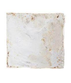 Pilzmännchen Bio Pilzzuchtset Austernpilz -Freien Garten Geschäft 3940285 BildD 002 PilzmaennchenBioHomePilzzuchtsetAusternpilzPilzbrutAusternpilzSet