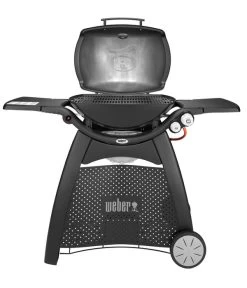 Weber Gasgrill Q 3000, 63 X 45 Cm -Freien Garten Geschäft 4073334 WE FS 003 WeberQ3000Black