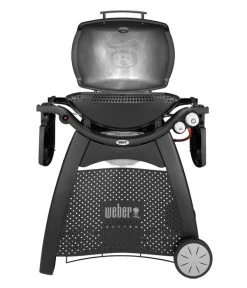 Weber Gasgrill Q 3000, 63 X 45 Cm -Freien Garten Geschäft 4073334 WE FS 004 WeberQ3000Black