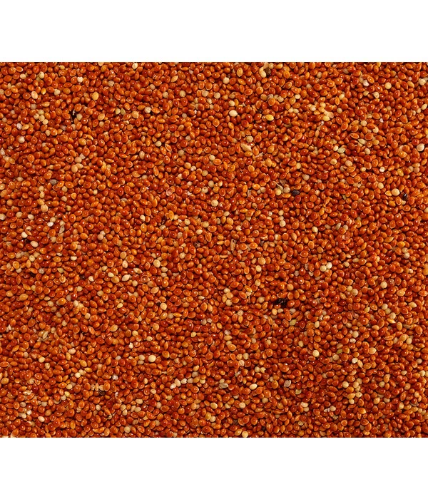 Dehner Rote Hirse, 1 Kg 4 Dehner Rote Hirse, 1 Kg – Bild 2