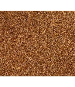 Dehner Japanhirse, 1 Kg -Freien Garten Geschäft 413260 BildD 001 VogelfutterDehnerZooJapanhirseFuerExotenJapanhirse1KgFExoten