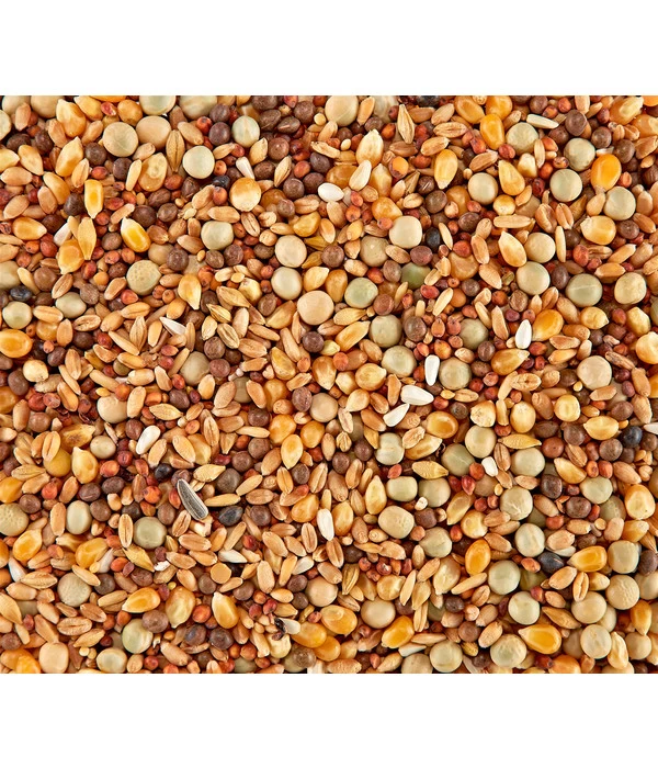 Dehner Rassetauben-Futter 4 Dehner Rassetauben-Futter – Bild 2