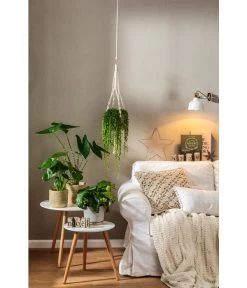 Dehner Makramee-Ampel -Freien Garten Geschäft 4152484 PR MO 001 TopfFreshBraunGrau 4408951 4408977 4408985 4409132