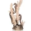 BiOrb® Aquariumdeko Seepferdchen M 2 BiOrb® Aquariumdeko Seepferdchen M -Freien Garten Geschäft 4160636 WE FS 001 BiOrbAquariumdekoSeepferdchenNaturalM