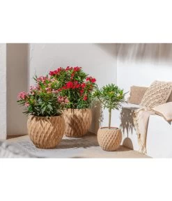 Dehner Terrakotta-Topf Imperia, Rund, Antik-terrakotta -Freien Garten Geschäft 4272639 4272670 WE MO 002 DehnerTerrakottaTopf