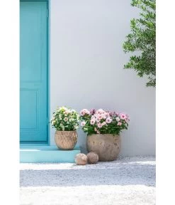 Dehner Terrakotta-Topf Imperia, Rund, Antik-terrakotta -Freien Garten Geschäft 4272639 4272670 WE MO 003 DehnerTerrakottaTopf