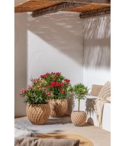 Dehner Terrakotta-Topf Imperia, Rund, Antik-terrakotta -Freien Garten Geschäft 4272639 4272670 WE MO 004 DehnerTerrakottaTopf