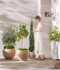 Dehner Terrakotta-Topf Imperia, Rund, Antik-terrakotta -Freien Garten Geschäft 4272639 4272670 WE MO 006 DehnerTerrakottaTopf