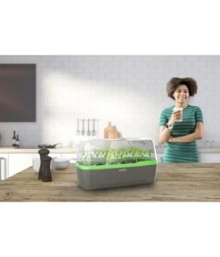 Romberg BoQube Gewächshaus -Freien Garten Geschäft 4299970 WE MO 001 RombergGewaechshausZimmergewaechshausAnzucht