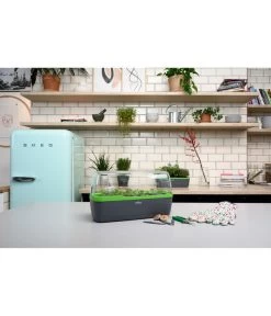 Romberg BoQube Gewächshaus -Freien Garten Geschäft 4299970 WE MO 002 BoQubeGewaechshausZimmergewaechshaus