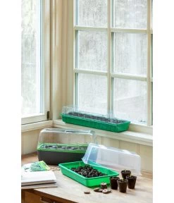 Romberg BoQube Gewächshaus -Freien Garten Geschäft 4299970 WE MO 004 BoQubeZimmergewaechshaus 1