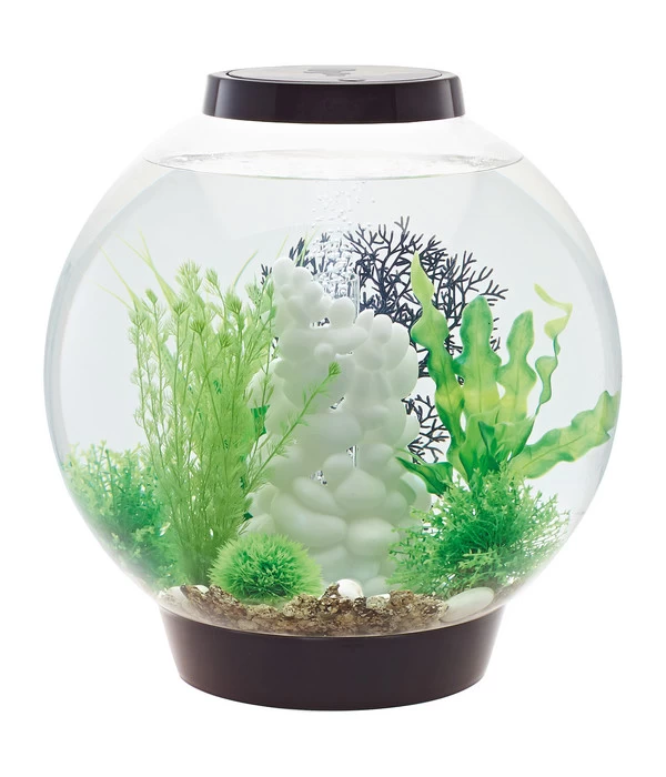 BiOrb® Aquarium CLASSIC 30 LED 4 BiOrb® Aquarium CLASSIC 30 LED – Bild 2