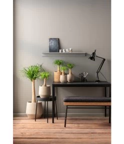 Dehner Keramik-Übertopf Humus, Bauchig, Beige 5 Dehner Keramik-Übertopf Humus, Bauchig, Beige -Freien Garten Geschäft 4450649 PR MO 001 TopfHumusBeige 4450649 4450672 4450680 4438917 4438990