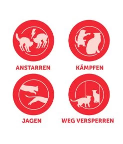 FELIWAY® Friends Nachfüllflakon, 3er Set -Freien Garten Geschäft 4477311 4477329 WE D 001 CevaFeliwayFriends