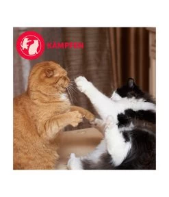 FELIWAY® Friends Nachfüllflakon, 3er Set -Freien Garten Geschäft 4477311 4477329 WE D 005 CevaFeliwayFriends