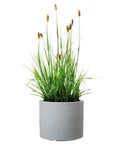 Scheurich Kunststoff-Topf Riva, Rund -Freien Garten Geschäft 4498838 WE FS 003 ScheurichKunststoffTopfRivarund