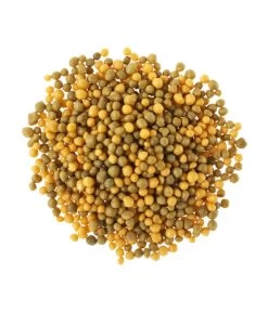 Substral® Osmocote® Buchs & Hecken Dünger, 1,5 Kg -Freien Garten Geschäft 5170147 BildD 001 SubstralOsmocoteDuengerBuchsUndHeckenBuchsHeckenduengerOsmoc