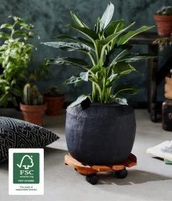 Wagner Pflanzroller Country, Ø 30 Cm 17 Wagner Pflanzroller Country, Ø 30 Cm -Freien Garten Geschäft 5230057 WE MO 002 MULTIROLLERCOUNTRY